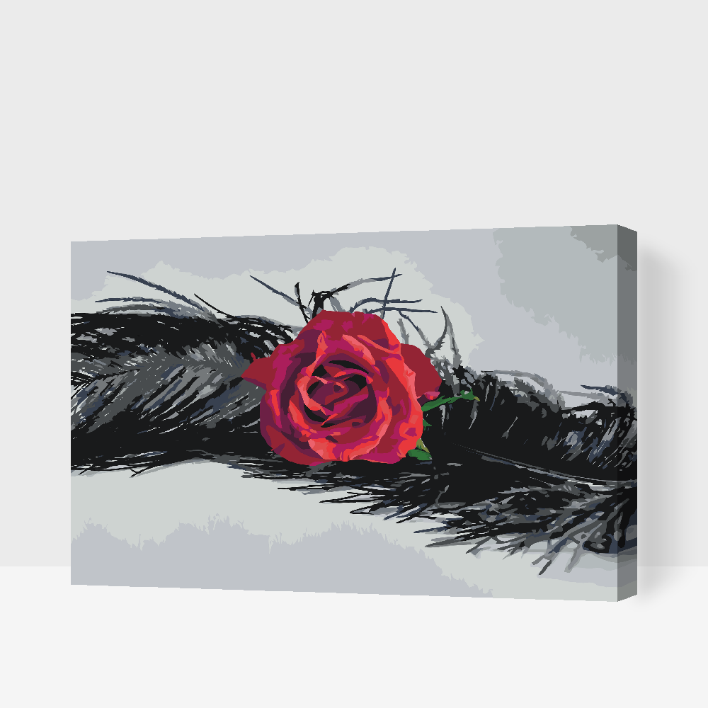 Paint by number - Rose i en fjer