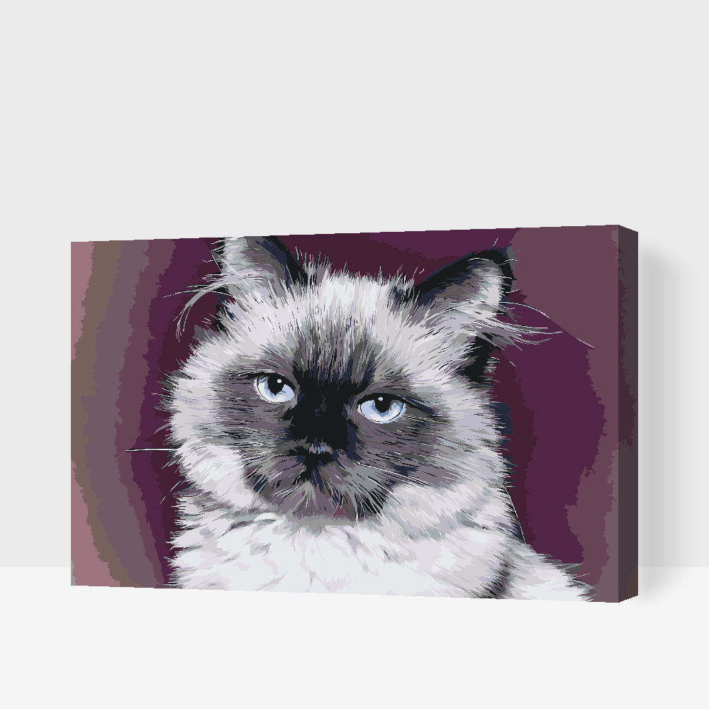 Paint by number - Portræt af Cat