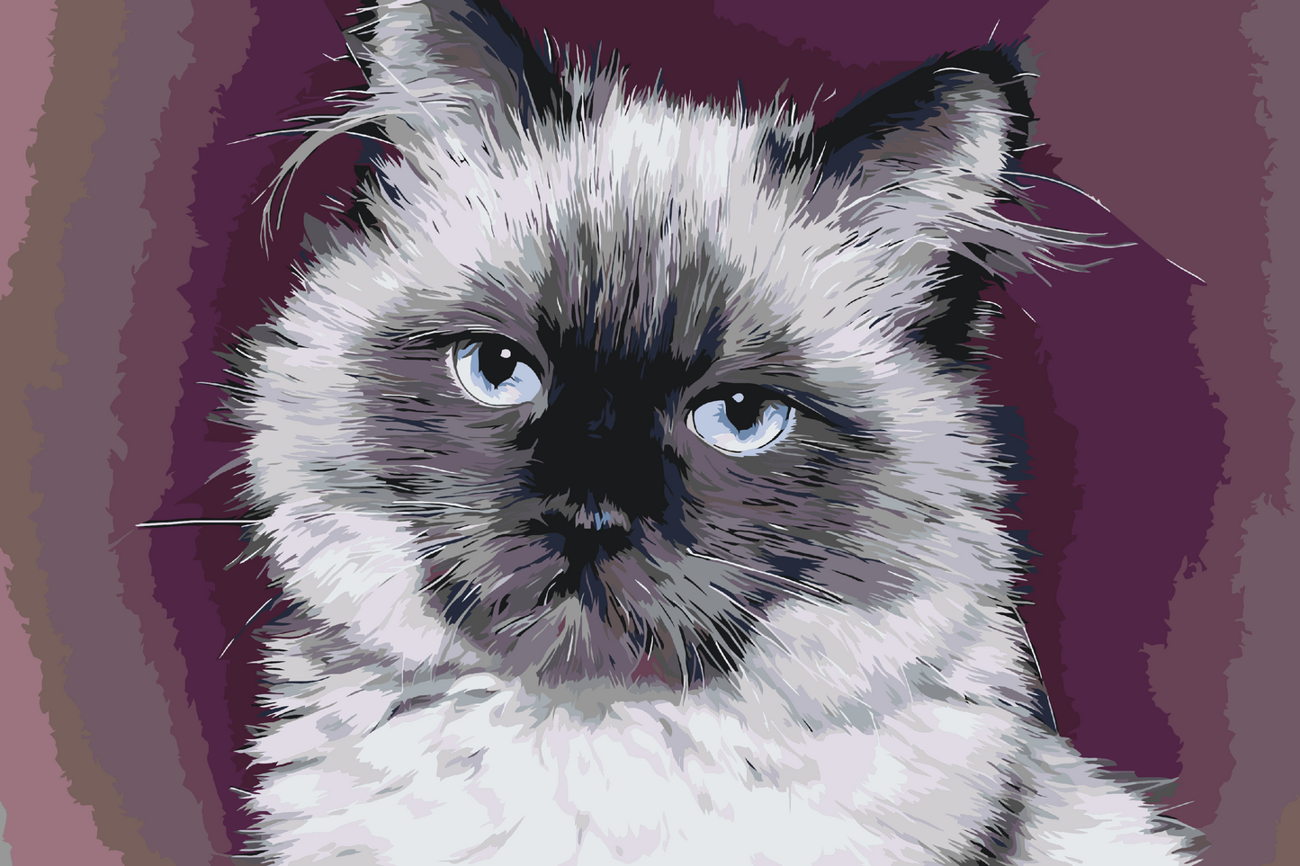 Paint by number - Portræt af Cat