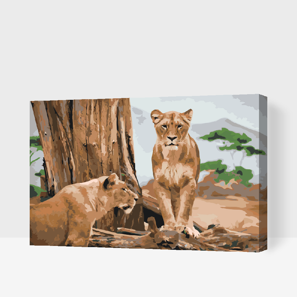 Paint by number - Lioness