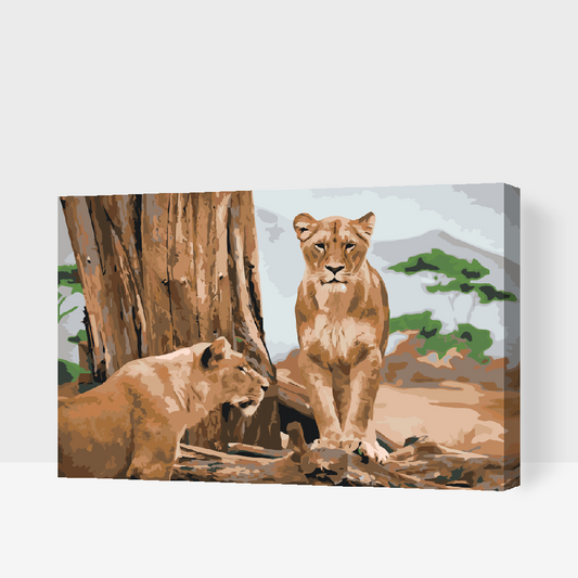 Paint by number - Lioness