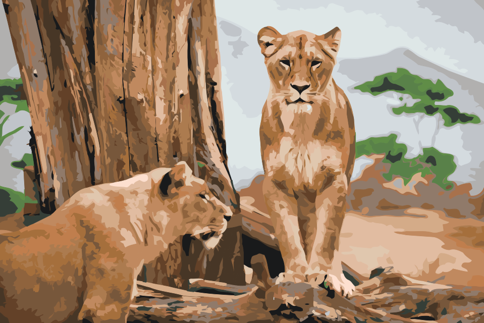 Paint by number - Lioness