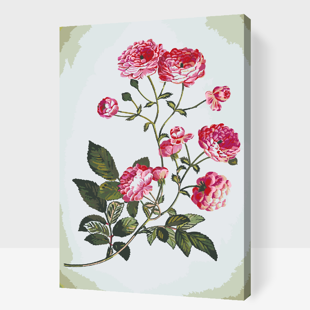 Paint by number - Vintage Flowers 2