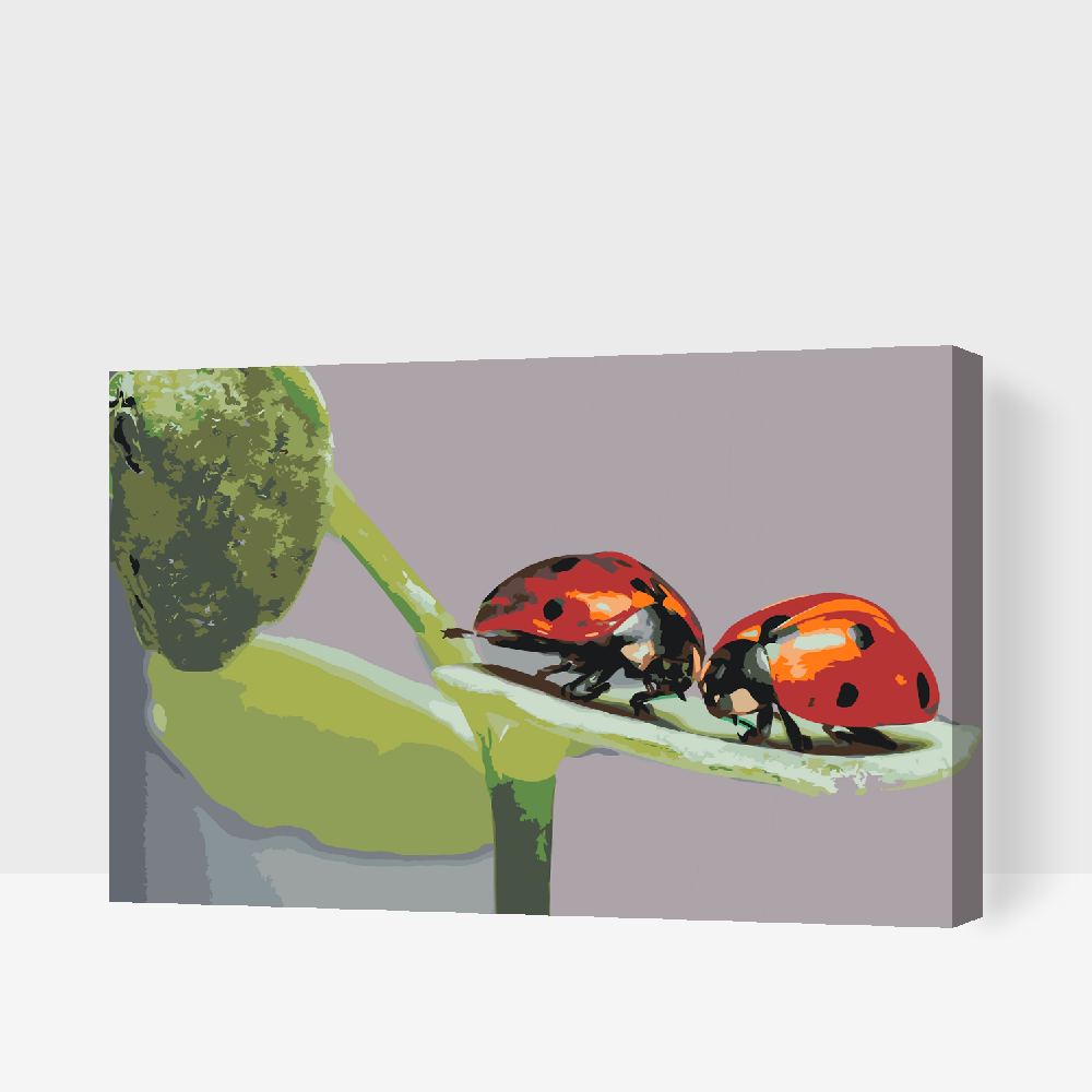 Paint by number - Mariehøns