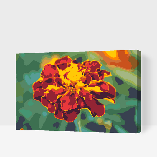 Paint by number - Morgenfrue