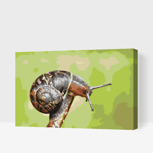 Paint by number - Snegl