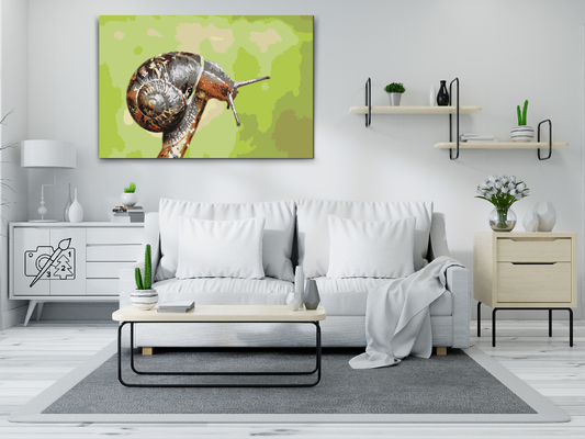 Paint by number - Snegl