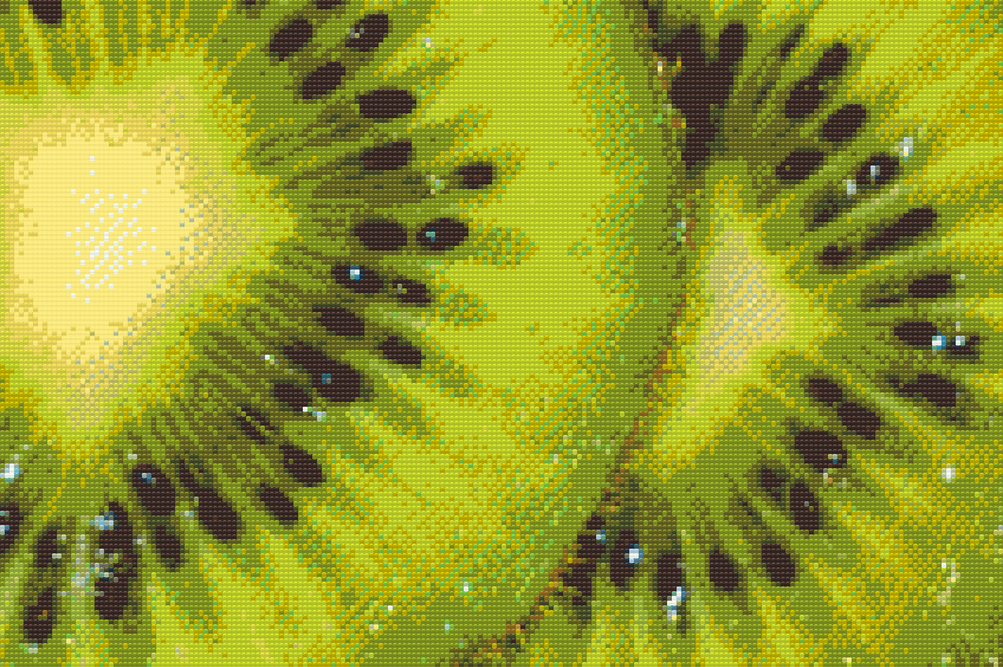 Diamond Paint - Kiwi-baggrund