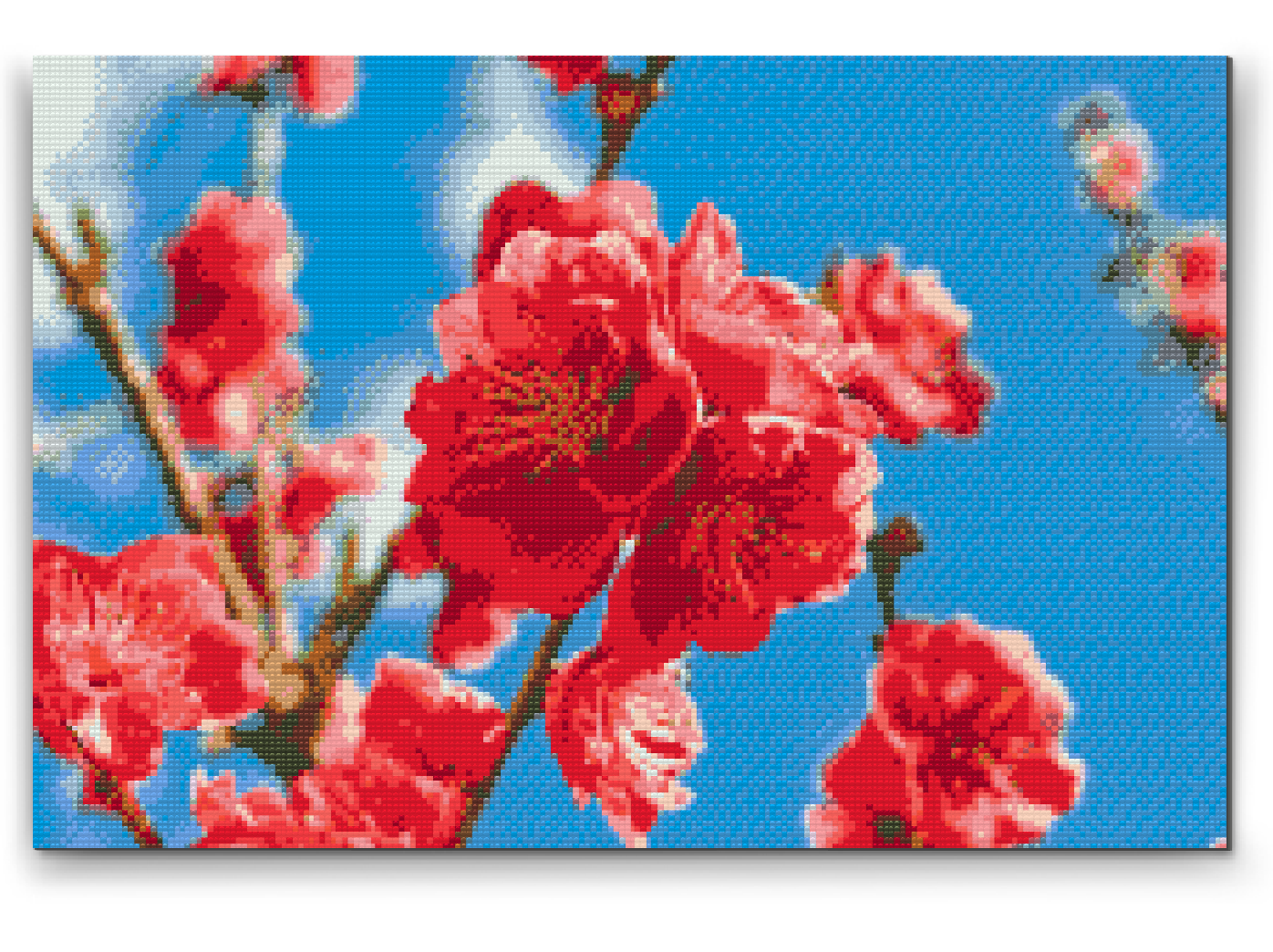 Diamond Paint - Ferskenblomst