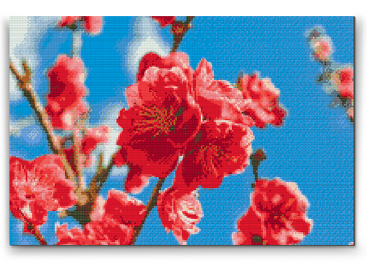 Diamond Paint - Ferskenblomst