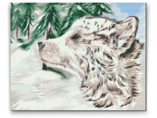 Diamond Paint - Hund i Sneen