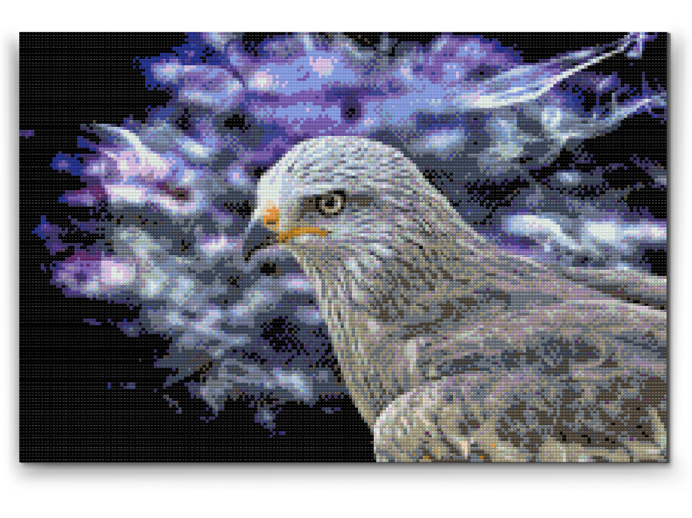 Diamond Paint - Falcon