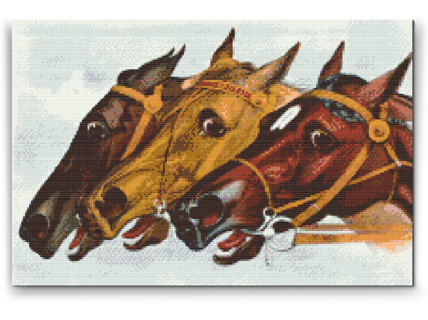 Diamond Paint - Kapløbsheste