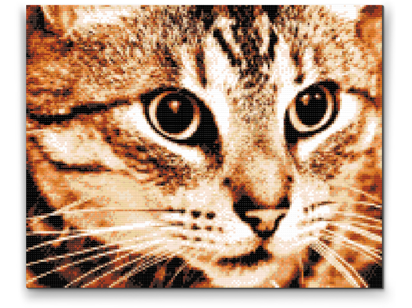 Diamond Paint - Tiger Cat
