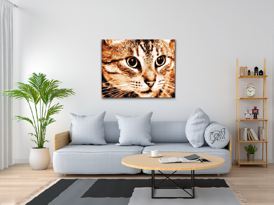 Diamond Paint - Tiger Cat