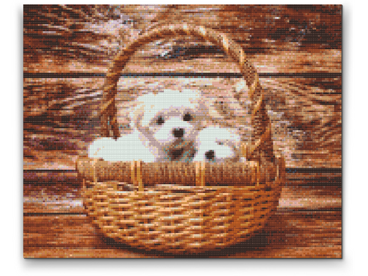 Diamond Paint - Hunde i kurven