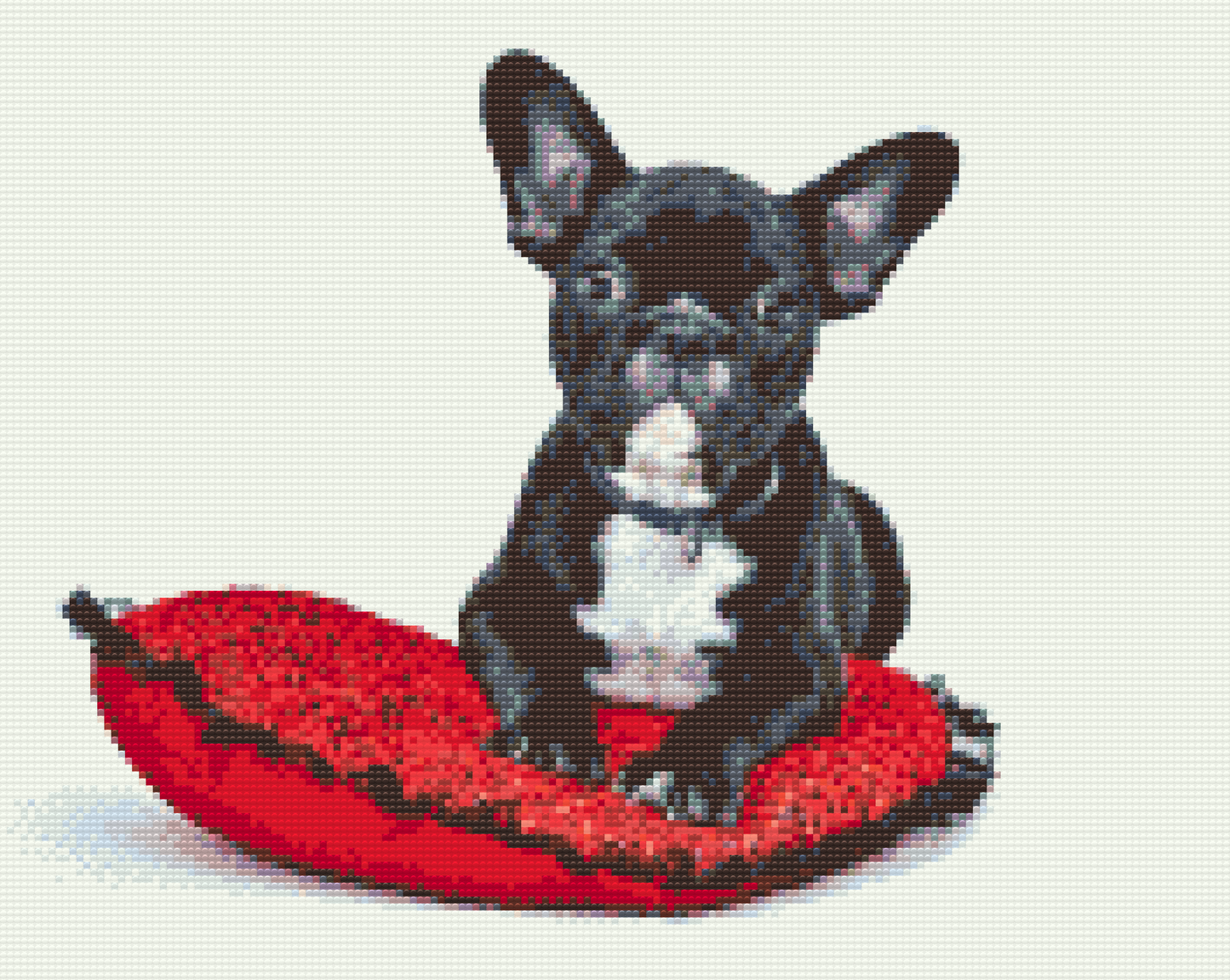 Diamond Paint - Sort bulldog på en pude