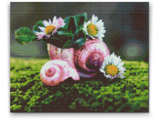 Diamond Paint - Margueritter i konkylien