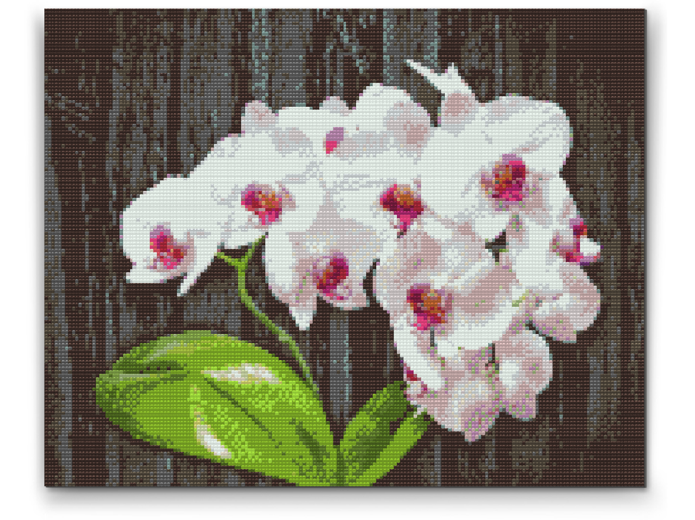 Diamond Paint - Hvid Orkidé