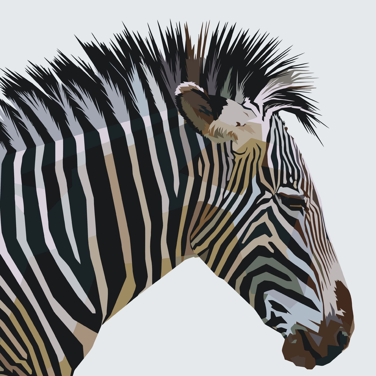 Paint by number - Kubistisk Zebra