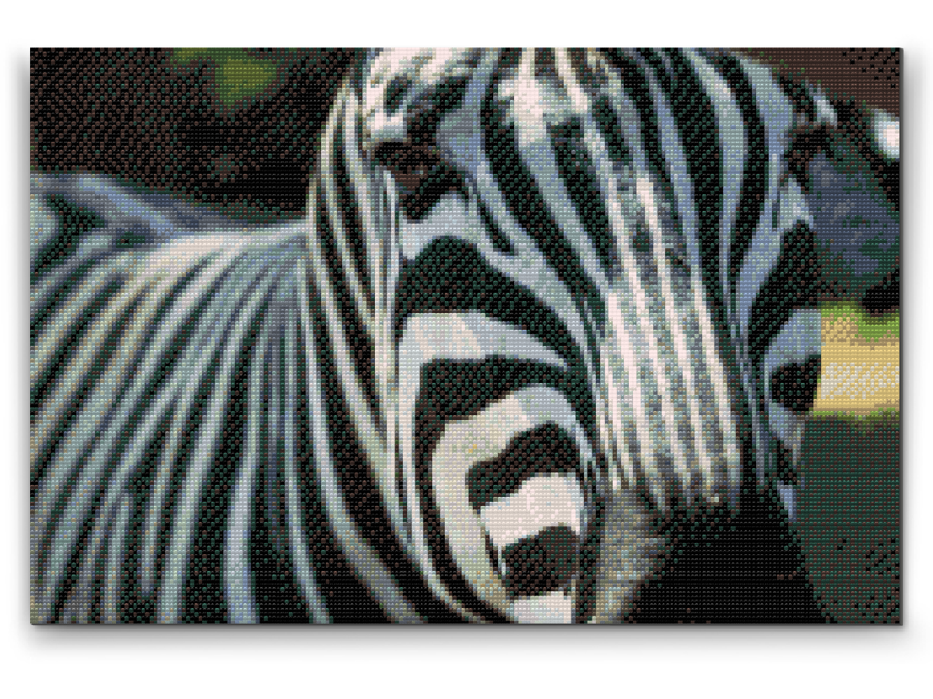Diamond Paint - Fokuseret på Zebraen