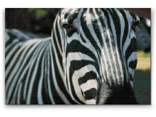 Diamond Paint - Fokuseret på Zebraen