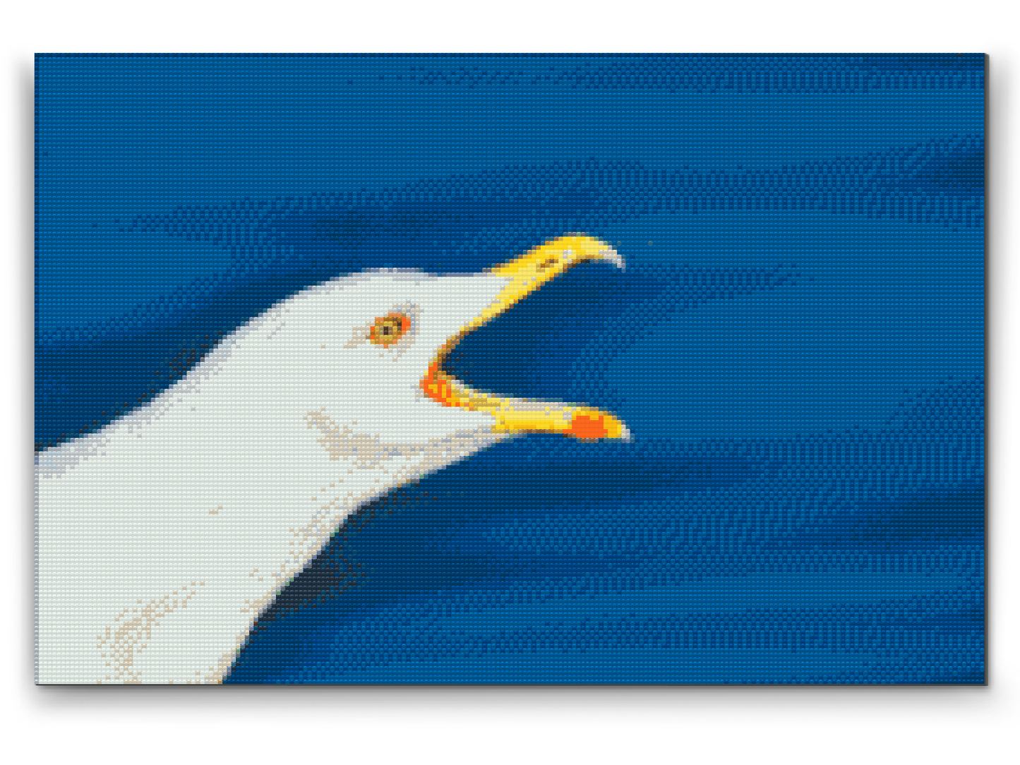 Diamond Paint - Seagul