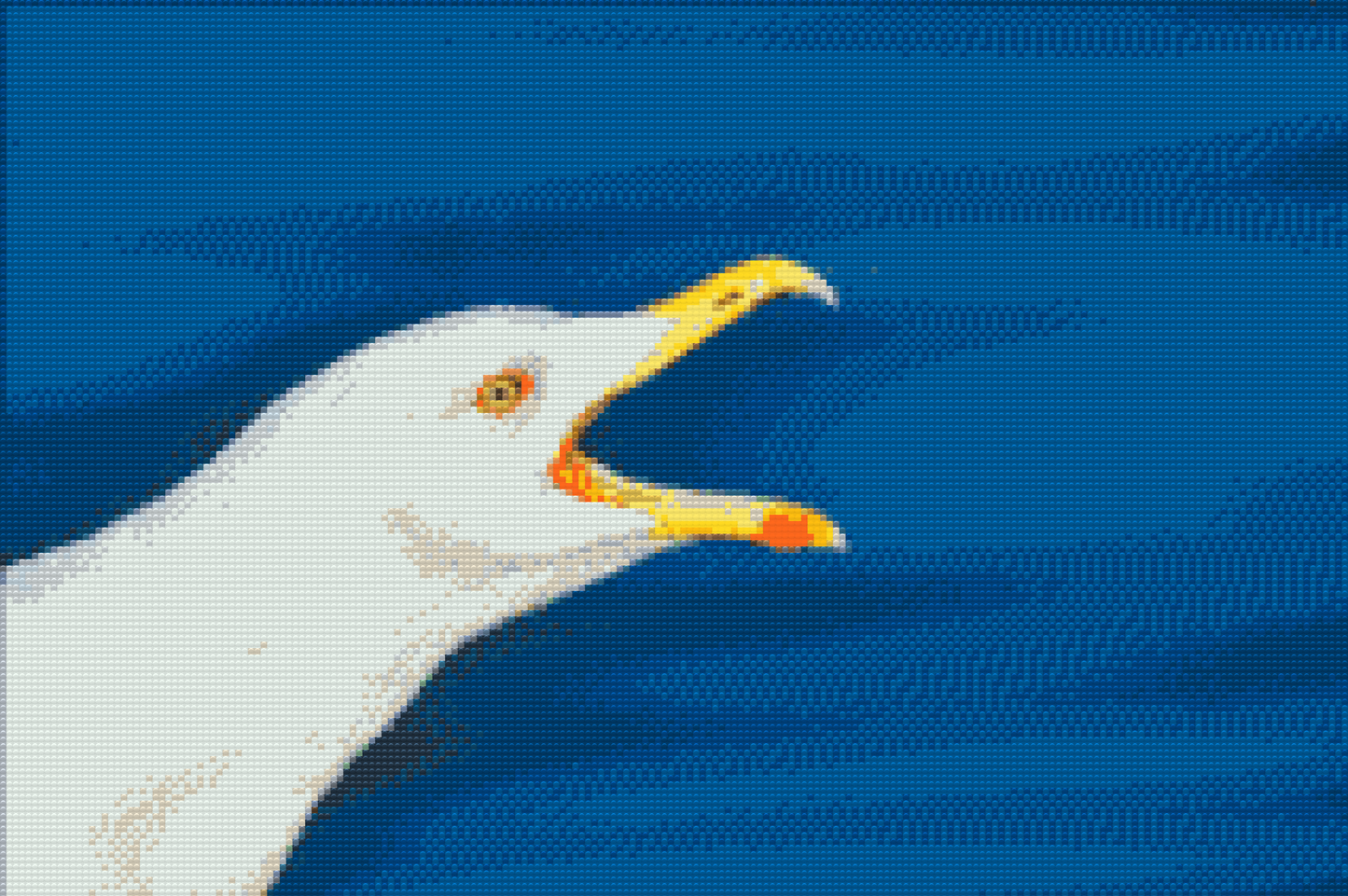 Diamond Paint - Seagul
