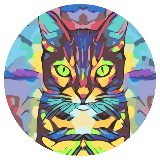 Paint by number - Farverig Kat