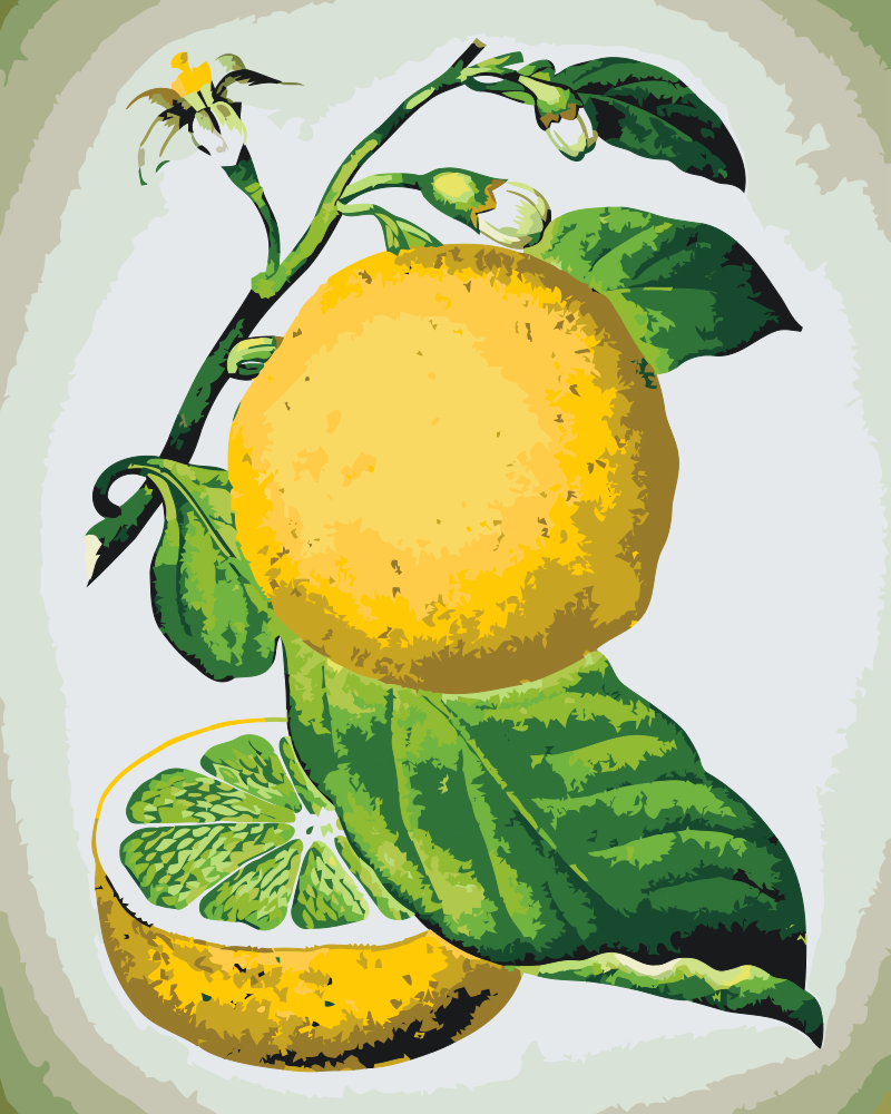 Paint by number - Frisk citron