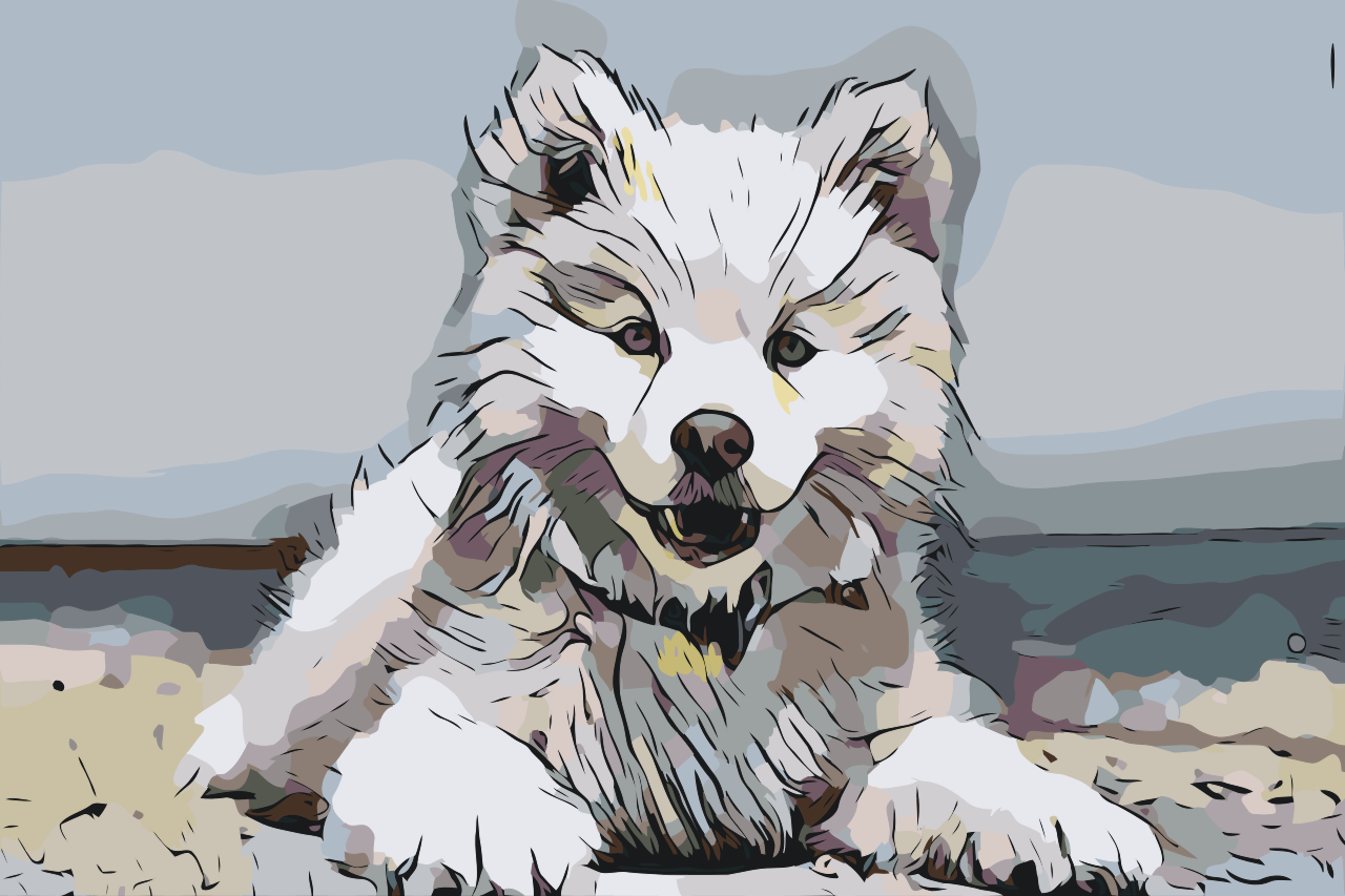 Paint by number - Glade hund