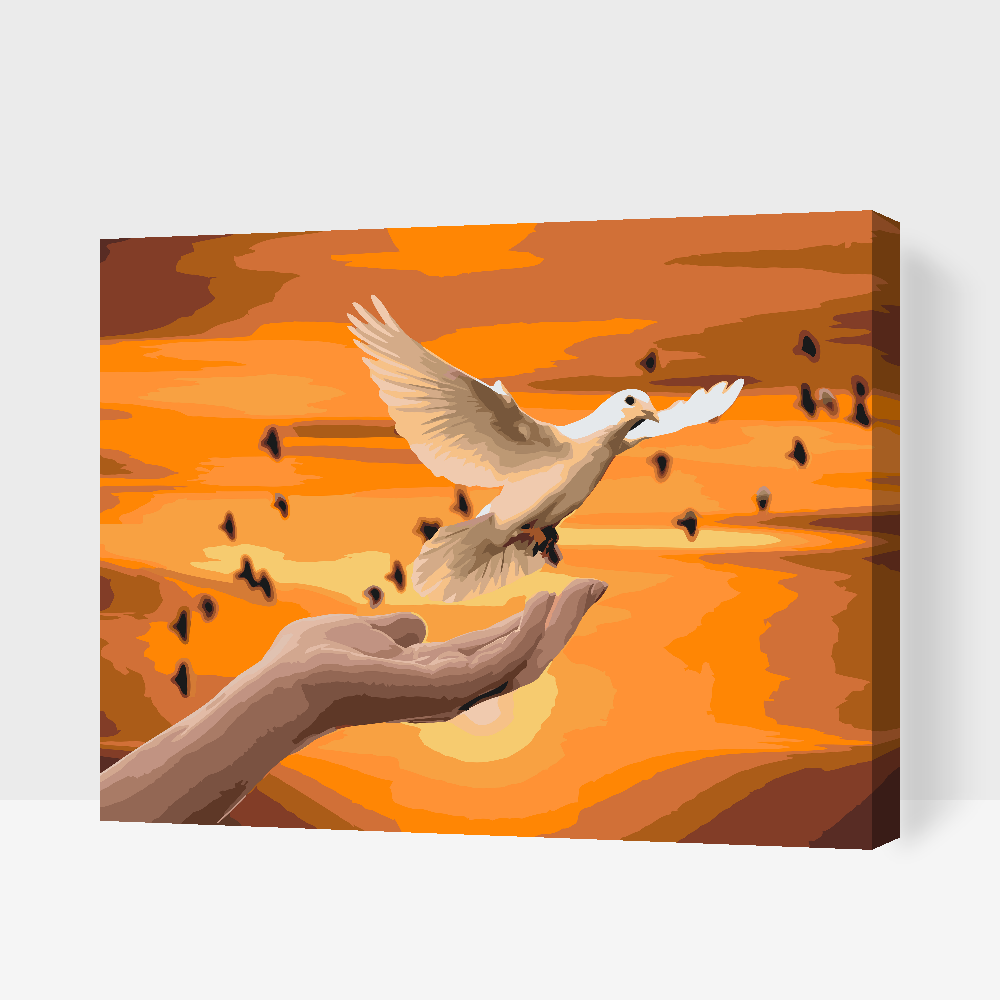 Paint by number - Hvid Due