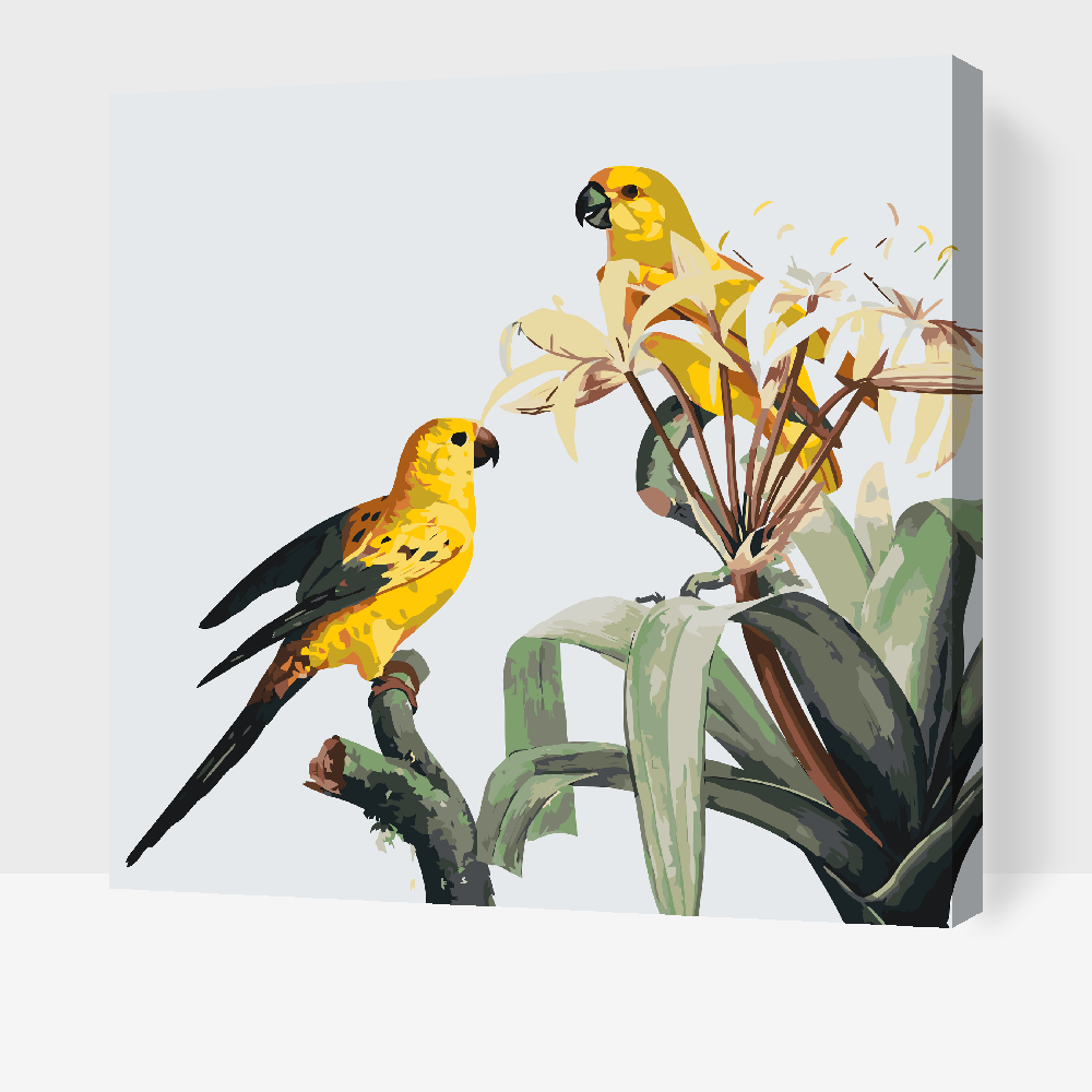 Paint by number - Papegøje på blomsten