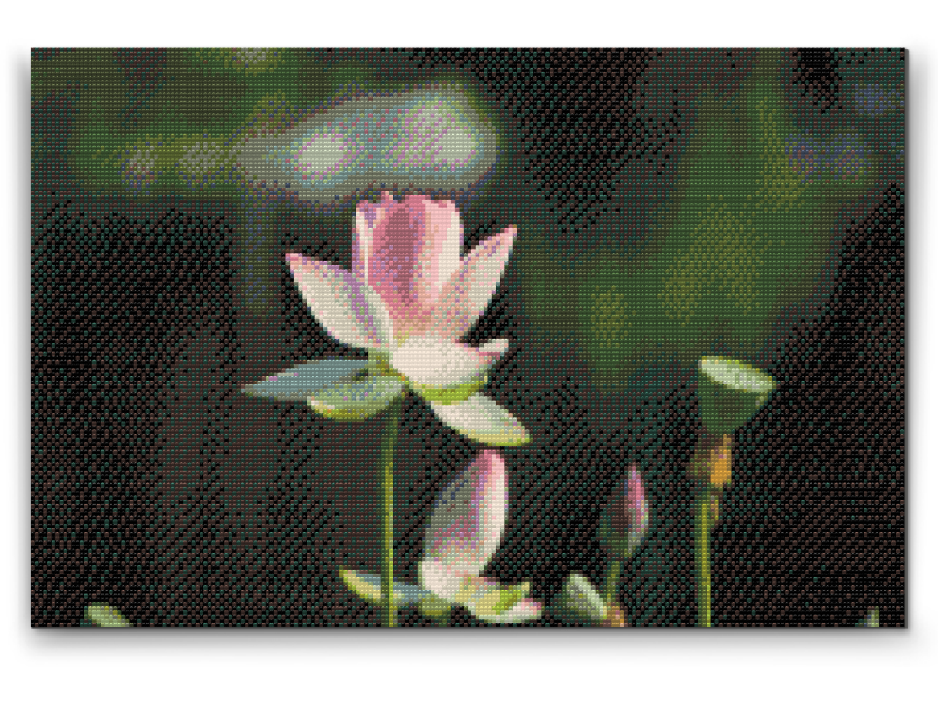 Diamond Paint - Lotusblomst