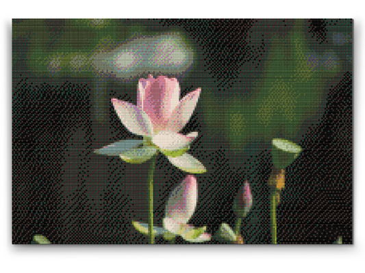 Diamond Paint - Lotusblomst