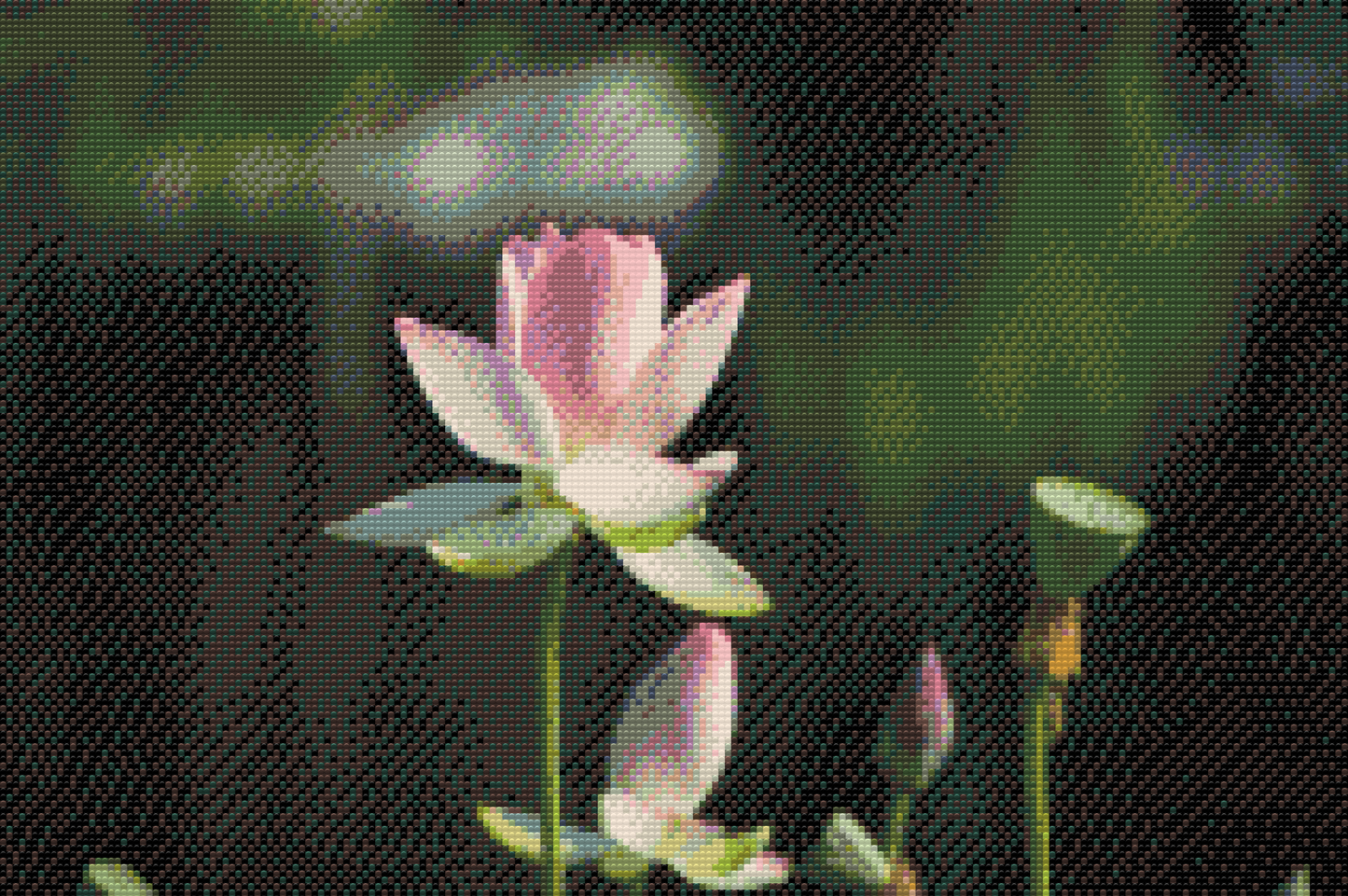 Diamond Paint - Lotusblomst