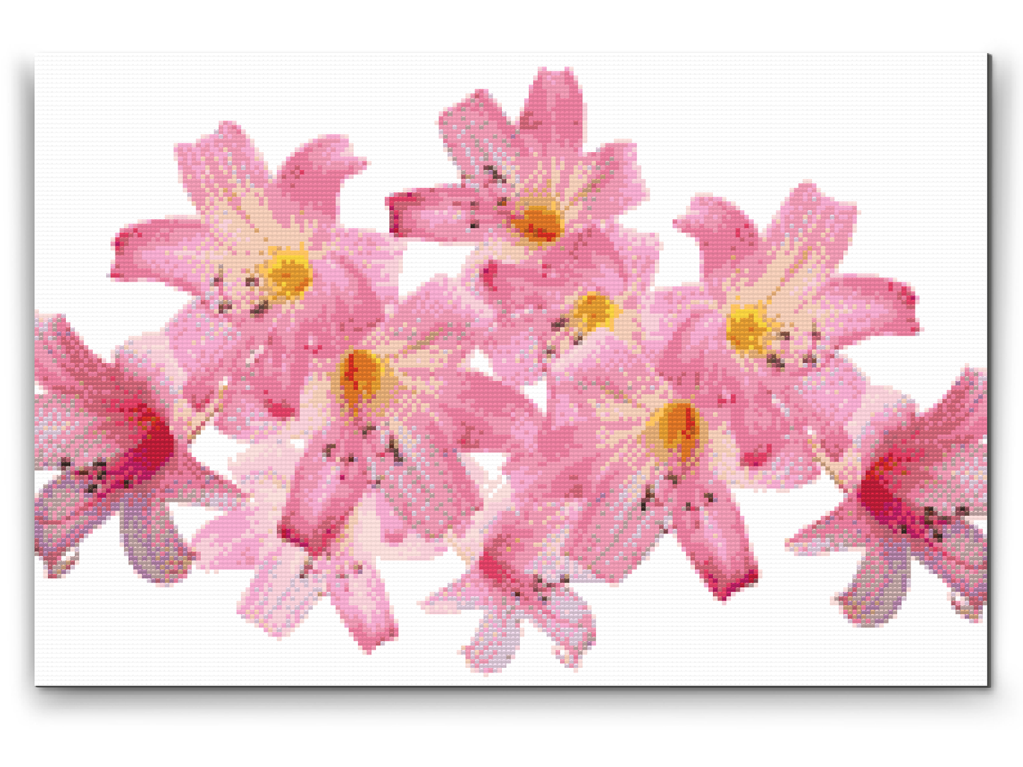Diamond Paint - Pink Lilies 2