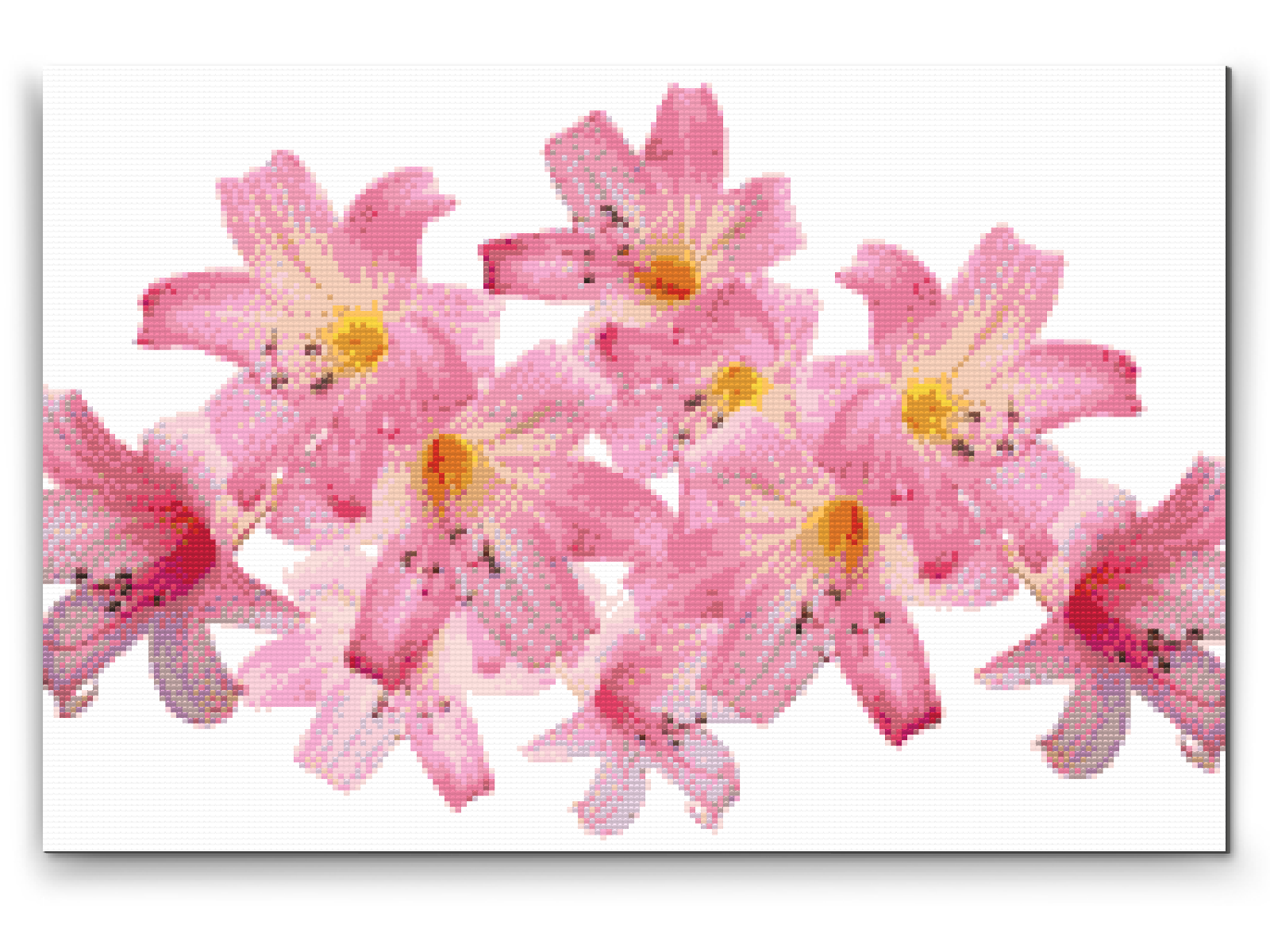 Diamond Paint - Pink Lilies 2