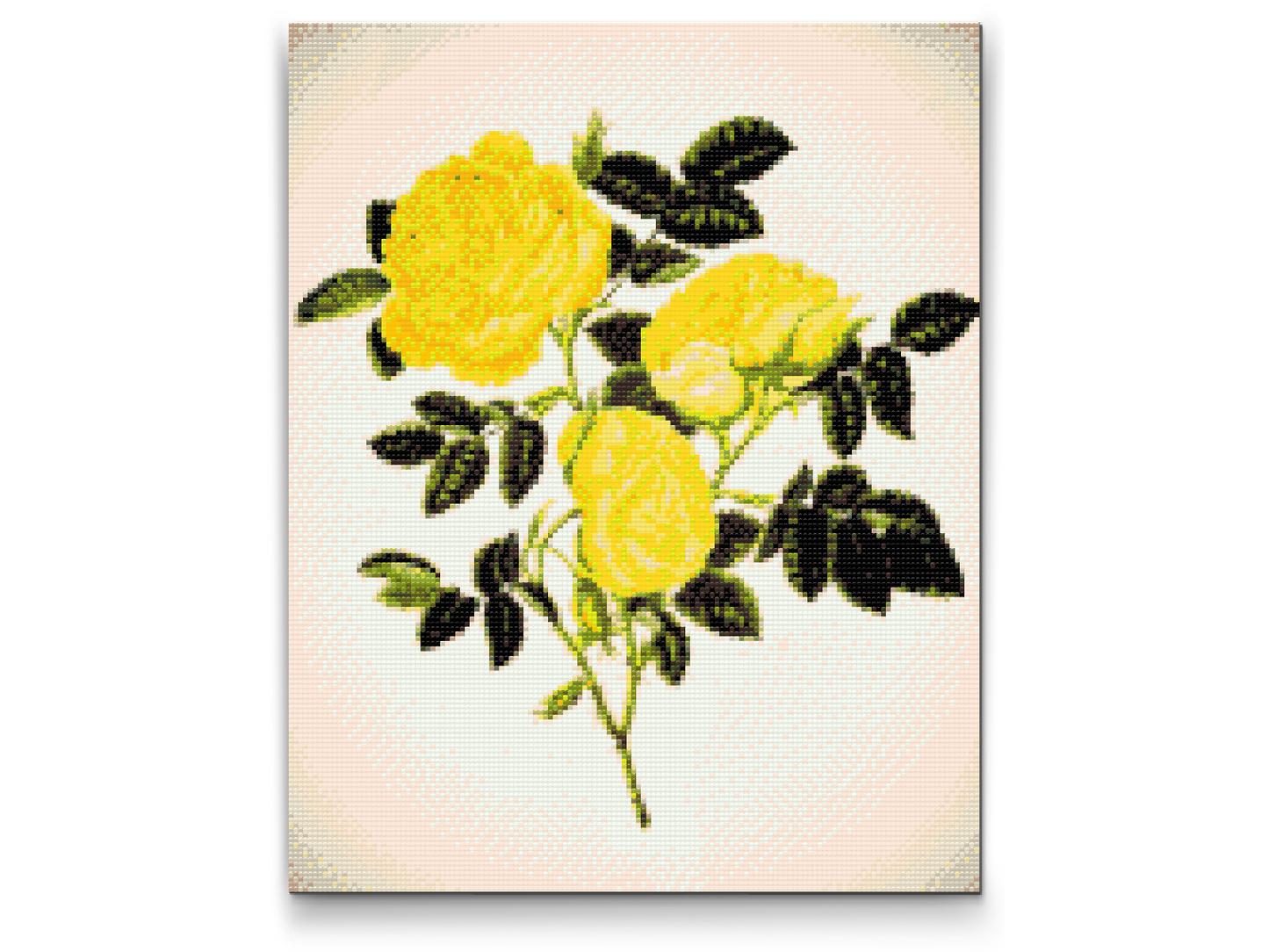 Diamond Paint - Vilde gule roser