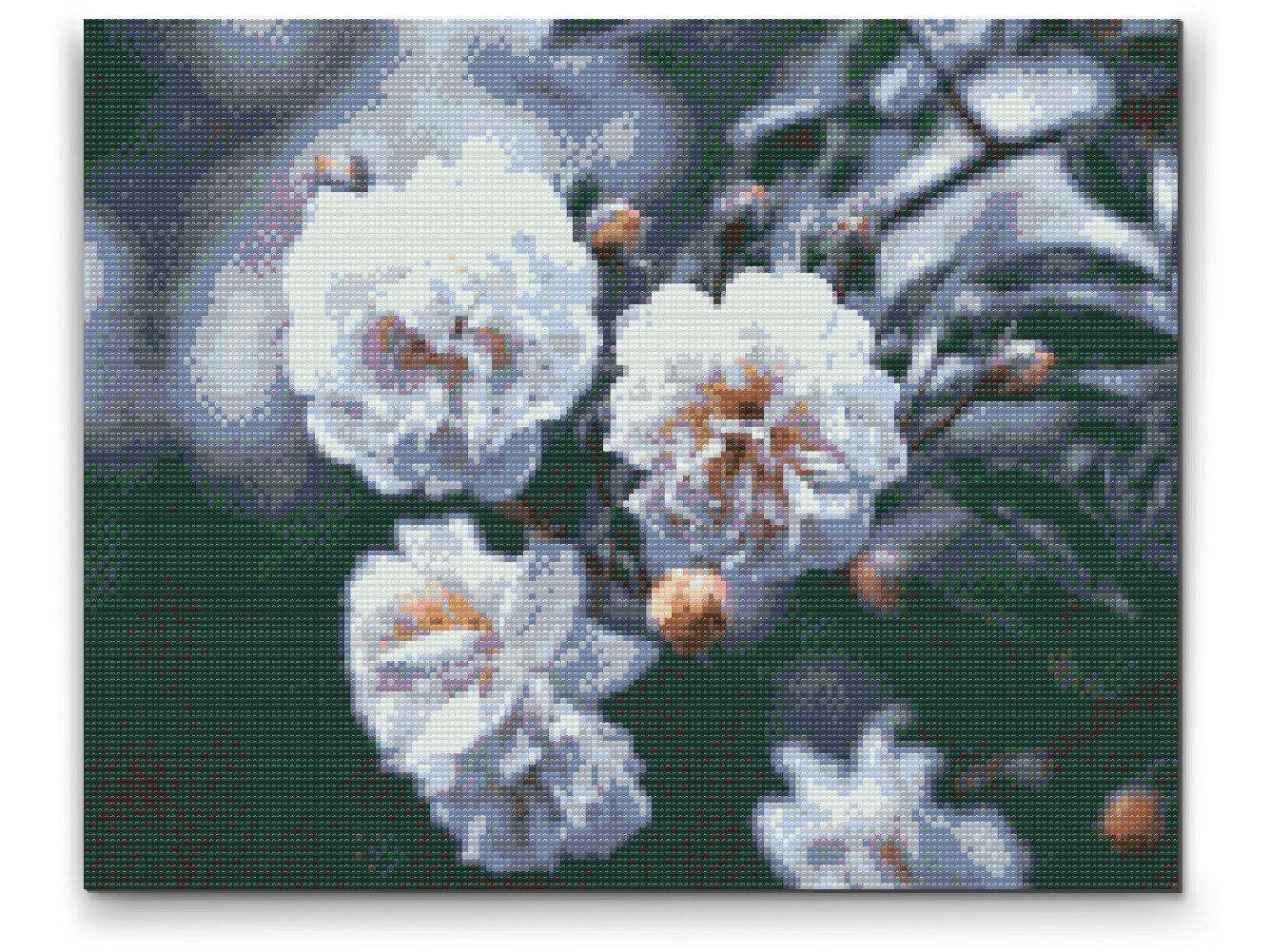 Diamond Paint - Blomstrende hvide roser