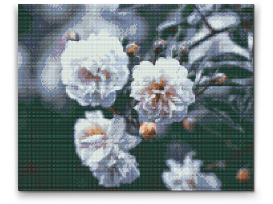 Diamond Paint - Blomstrende hvide roser