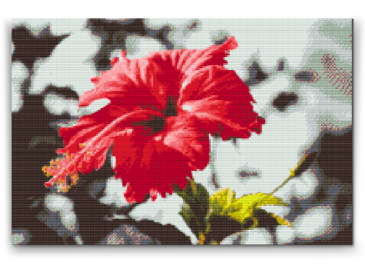 Diamond Paint - Rød blomst i grå baggrund