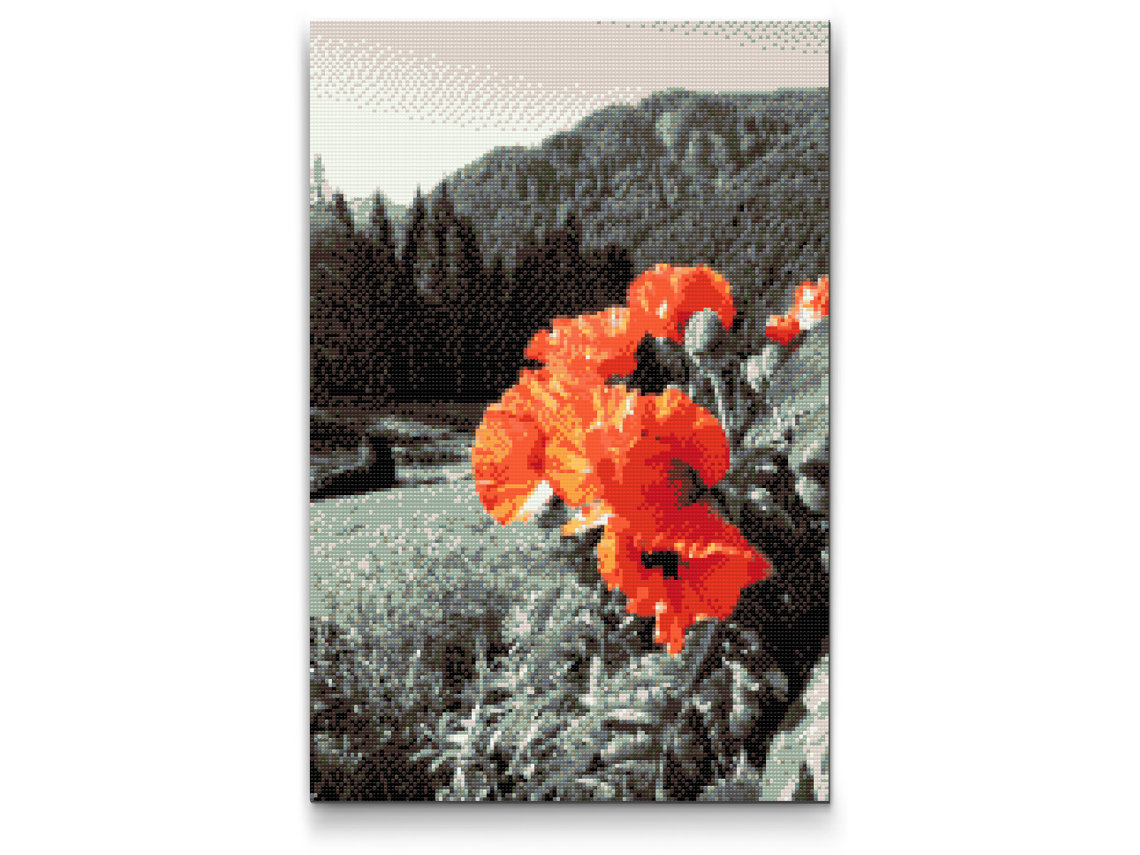 Diamond Paint - Valmue i bjergene