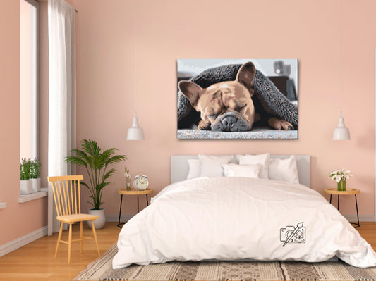 Paint by number - Træt Bulldog