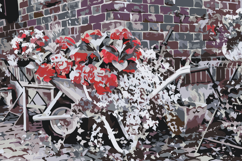 Paint by number - Hortensiaer