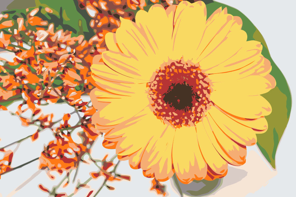 Paint by number - Gerbera