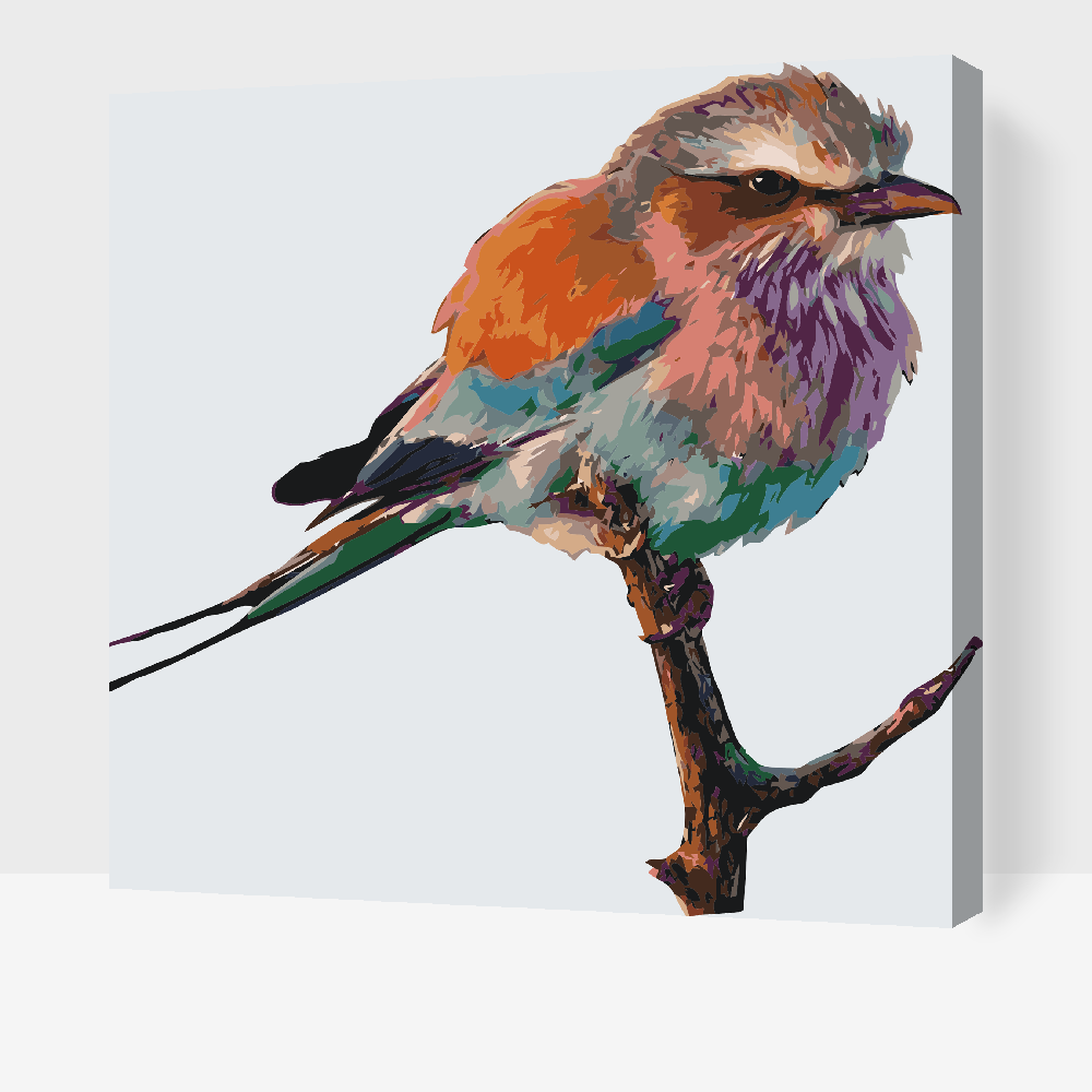 Paint by number - Fugl