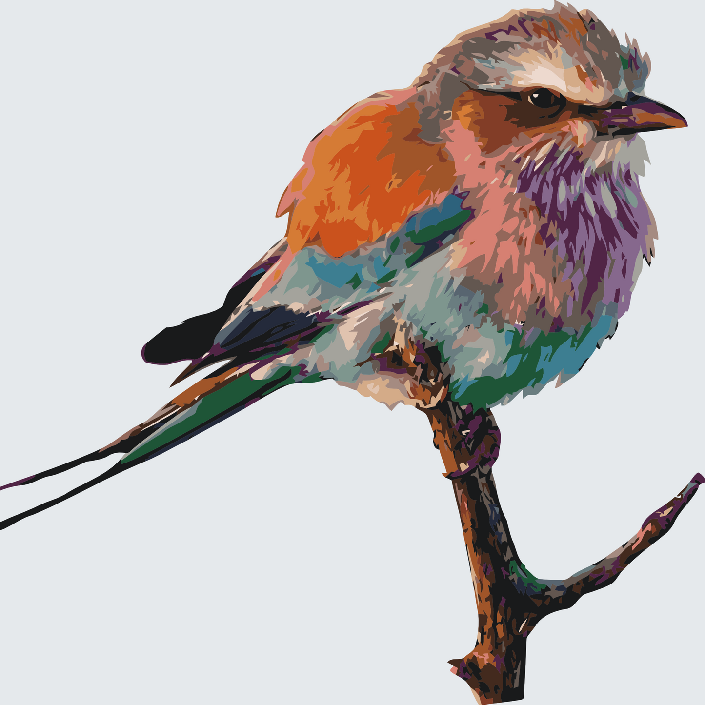 Paint by number - Fugl