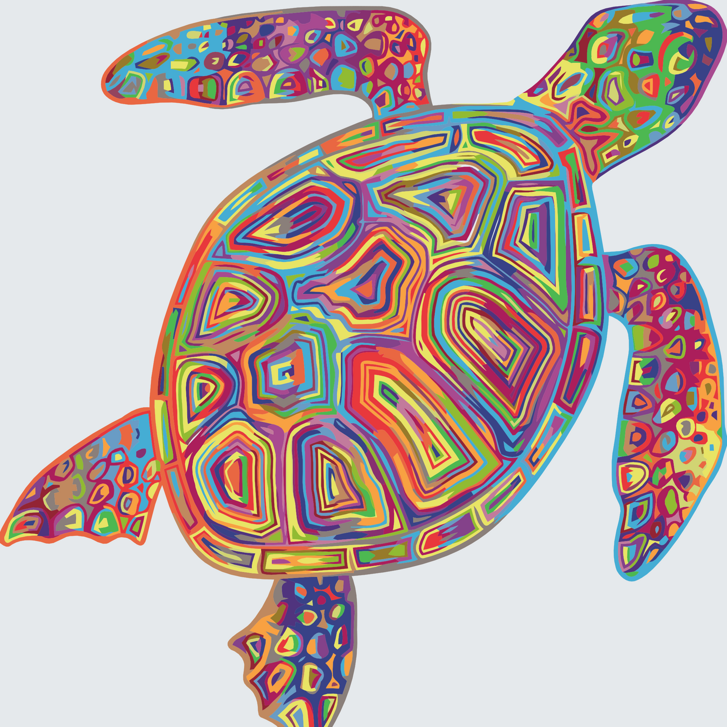 Paint by number - Regnbueskildpadde