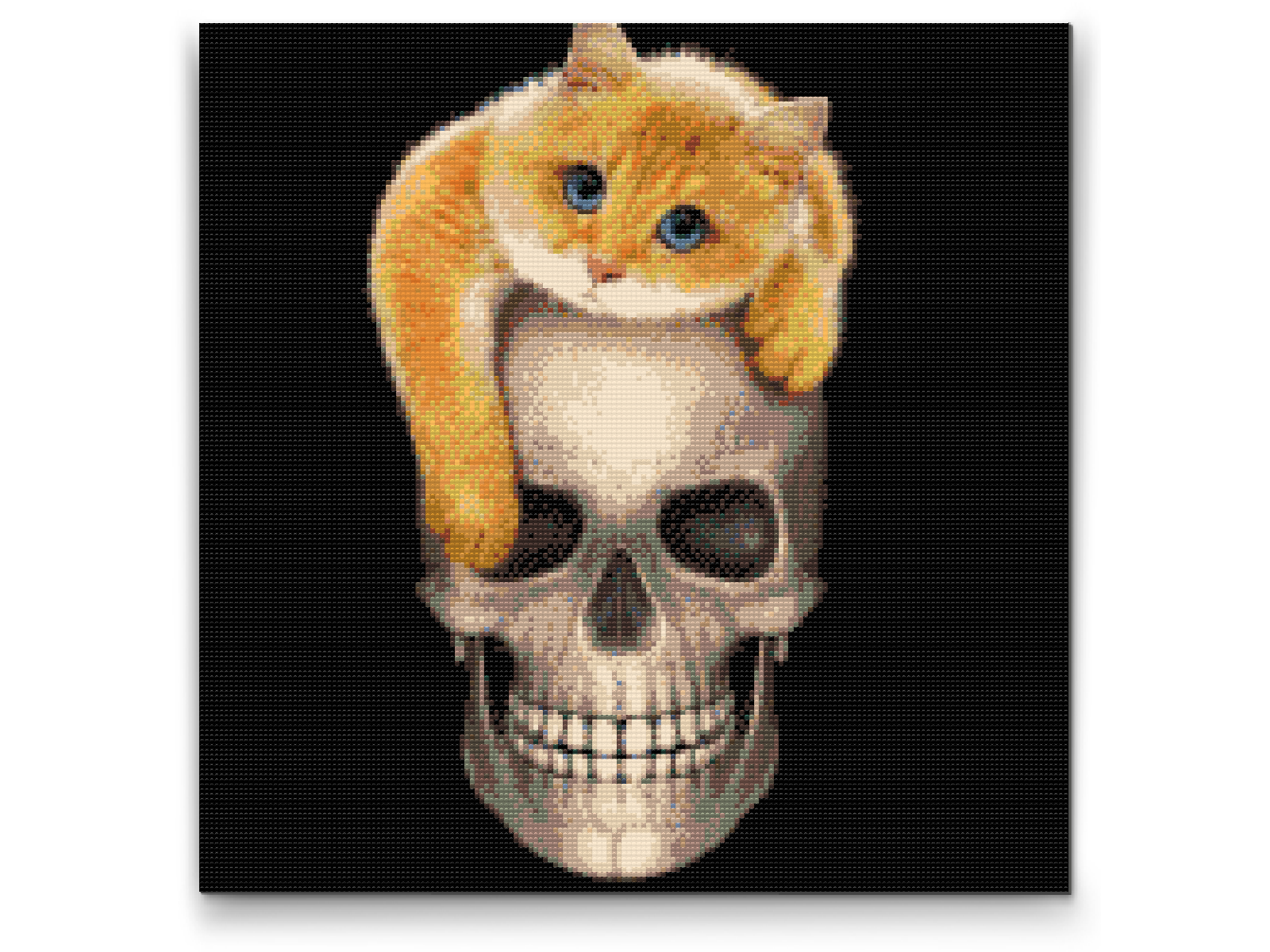 Diamond Paint - Mis på et kranium